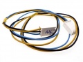 Brandt Harness - Wtg012800 Wiring